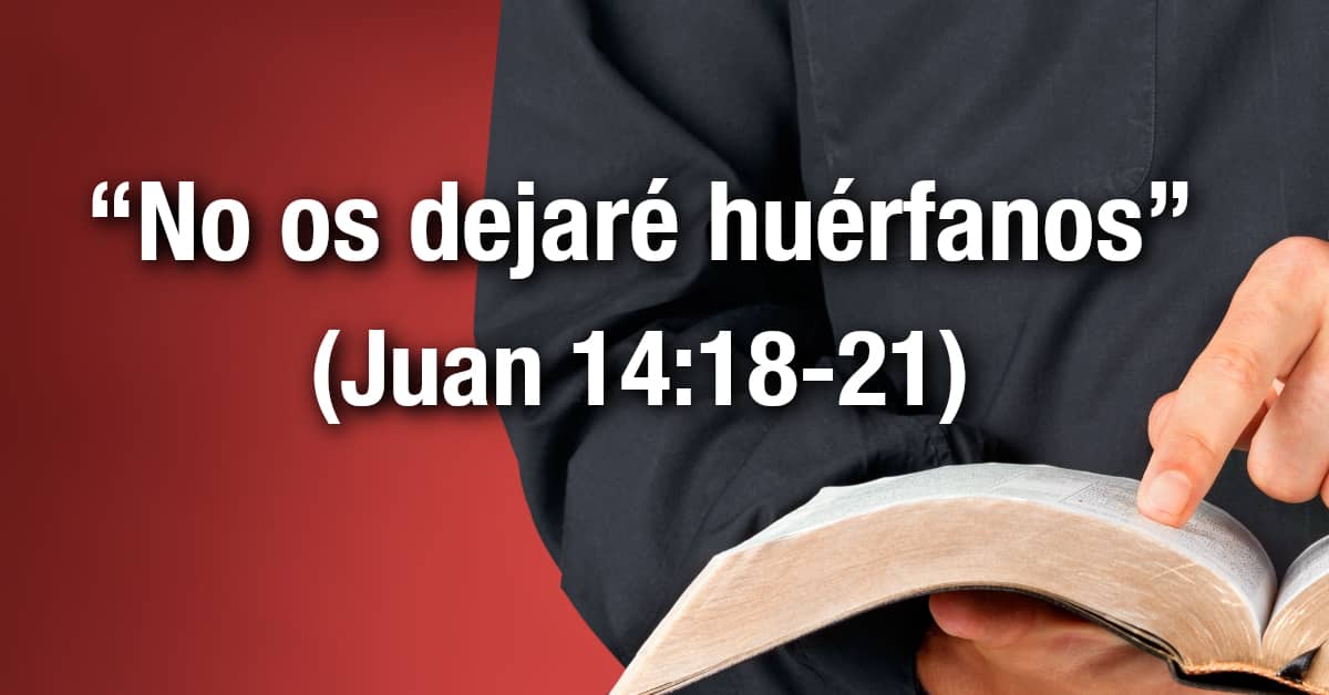 Estudio bíblico - Título: No os dejaré huérfanos - Juan 14:18-21